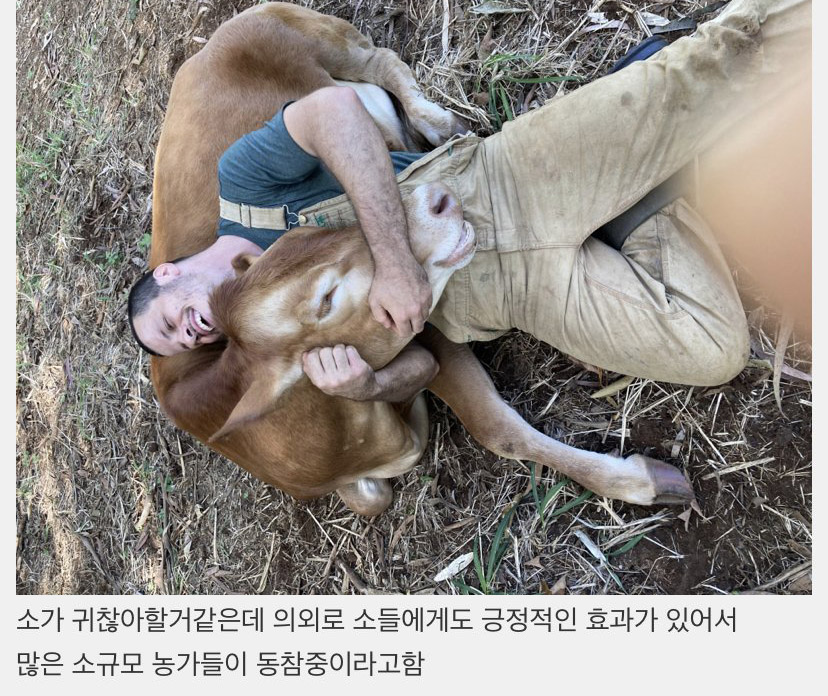 allmyheart319's tweet photo. 코로나로 인해 외국에서 크게 유행중인 힐링 프로그램 https://t.co/0MrLDwzto1