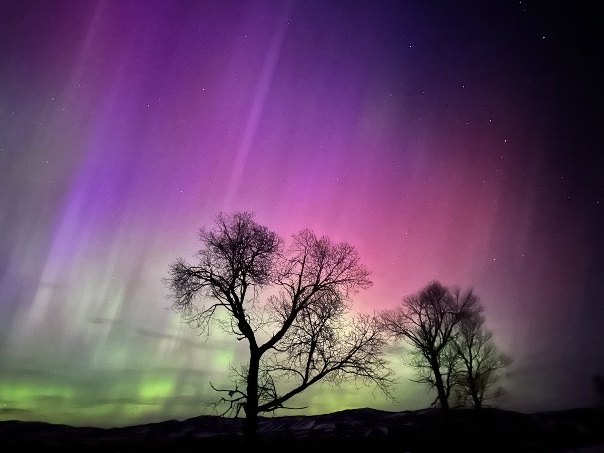 jconli's tweet photo. WOW. Could actually see the lights with the naked eye tonight. We drove into @GrandTetonNPS for the show. Pics unedited from iPhone. #AuroraBorealis #wywx #jacksonhole #wyoming @AuroraNotify https://t.co/J19P7fYtd1