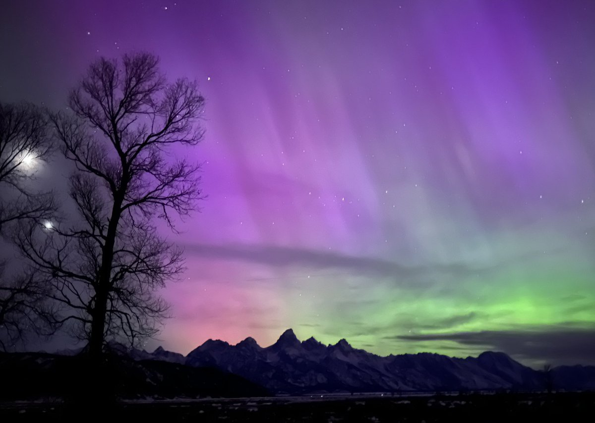 jconli's tweet photo. WOW. Could actually see the lights with the naked eye tonight. We drove into @GrandTetonNPS for the show. Pics unedited from iPhone. #AuroraBorealis #wywx #jacksonhole #wyoming @AuroraNotify https://t.co/J19P7fYtd1