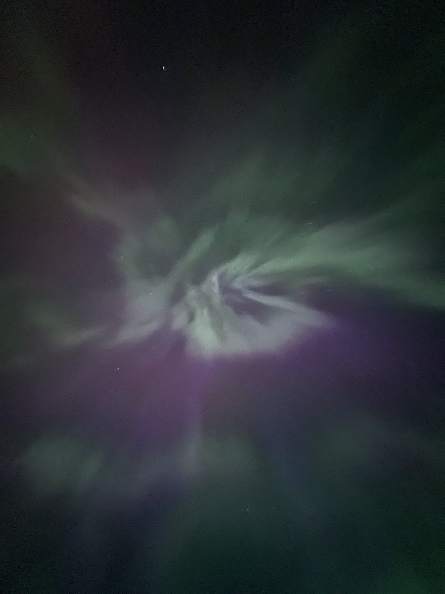 Tracey Dunnigan (@tracey_dunnigan) on Twitter photo Northern lights dancing over our city tonight. They hear that PowWow drum! <a href="/fnunivpowwow/">@FNUnivPowwow</a> Northern lights dancing over our city tonight. They hear that PowWow drum! <a href="/fnunivpowwow/">@FNUnivPowwow</a>