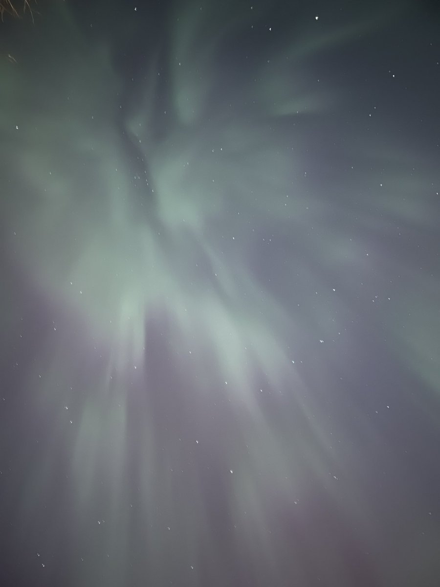 Whitewater_MD's tweet photo. the sky came alive tonight. #aurora https://t.co/qwWLEr2M2E