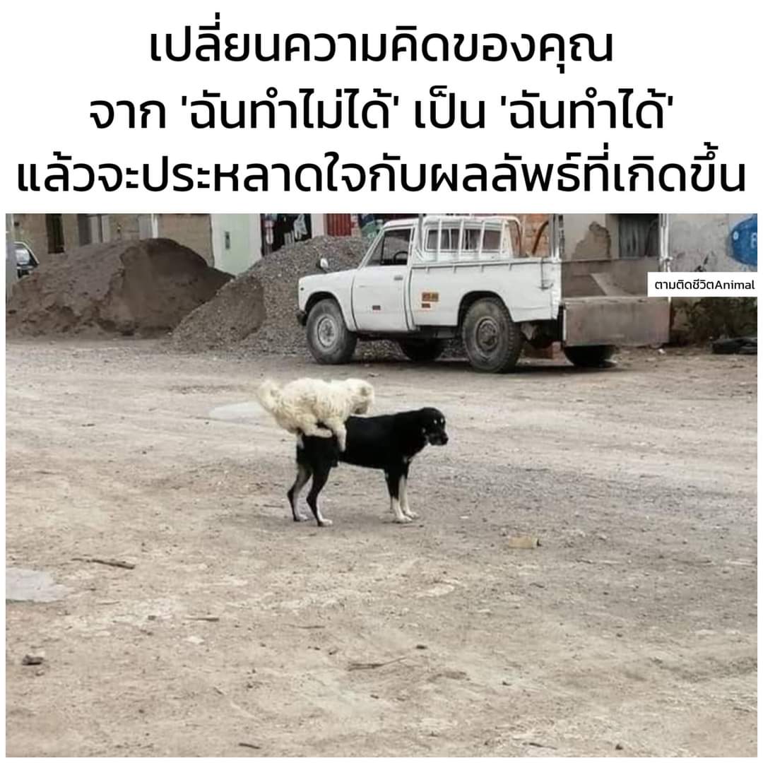 chaleenajaja's tweet photo. ใจเอ็งได้มาก 555555 https://t.co/8QL5kLHgcV
