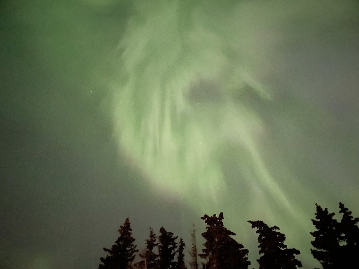 I think I got something beastly in this picture! #AuroraBorealis #devil #skstorm #ShareYourWeather