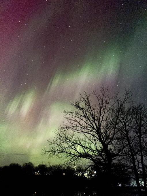 Aurora borealis in the sky, with the silhouette of a tree in the foreground. Greens, reds, and grays in the sky.