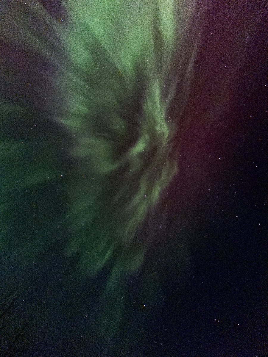 bpholt's tweet photo. Aurora from Apple Canyon Lake. Never seen anything like it. 🤩 #ilwx #AuroraBorealis https://t.co/NtTsdE6tlO