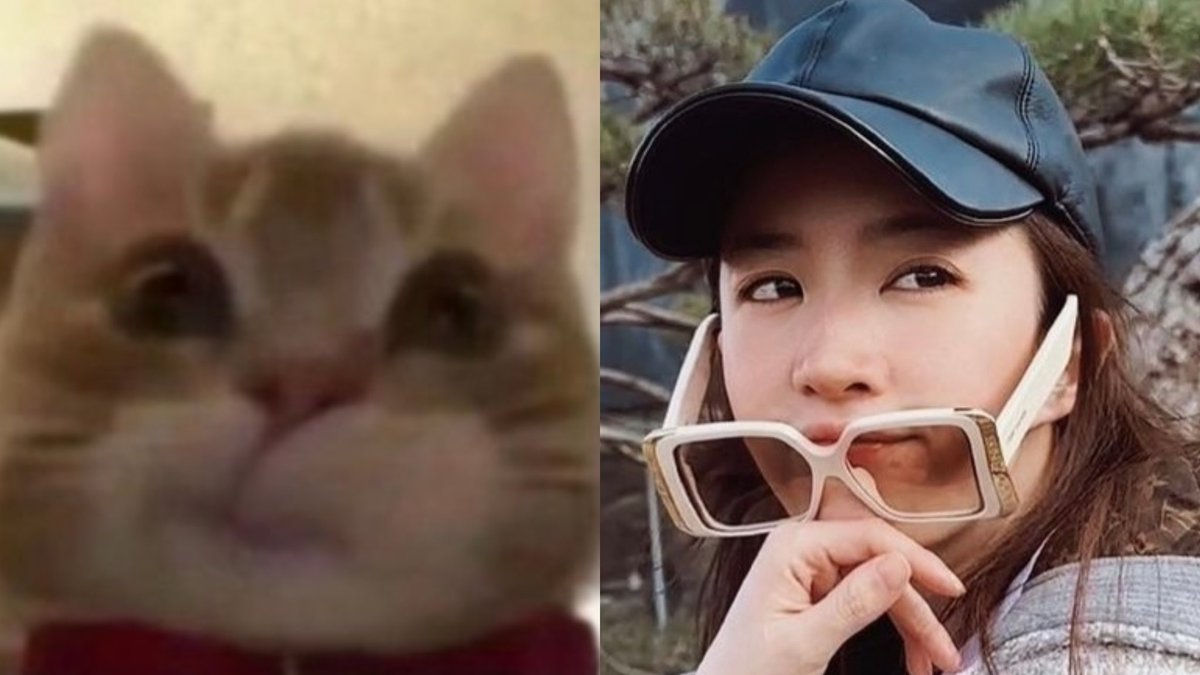 joyyyyside's tweet photo. Soooooo cute @yifei_cc 🌹
#liuyifei #yifeiliu #crystalliu #刘亦菲 #劉亦菲 #유역비 #LưuDiệcPhi #ЛюИфэй #หลิวอี้เฟย #リウイーフェイ #mulan #花木兰 #花木蘭 #Мулан #뮬란 #Mulán #ムーラン #ADreamOfSplendor #梦华录 #去有风的地方 #meetyourself #去有風的地方 #gotoawindyplace #夢華錄 https://t.co/1z0hmYM9n3