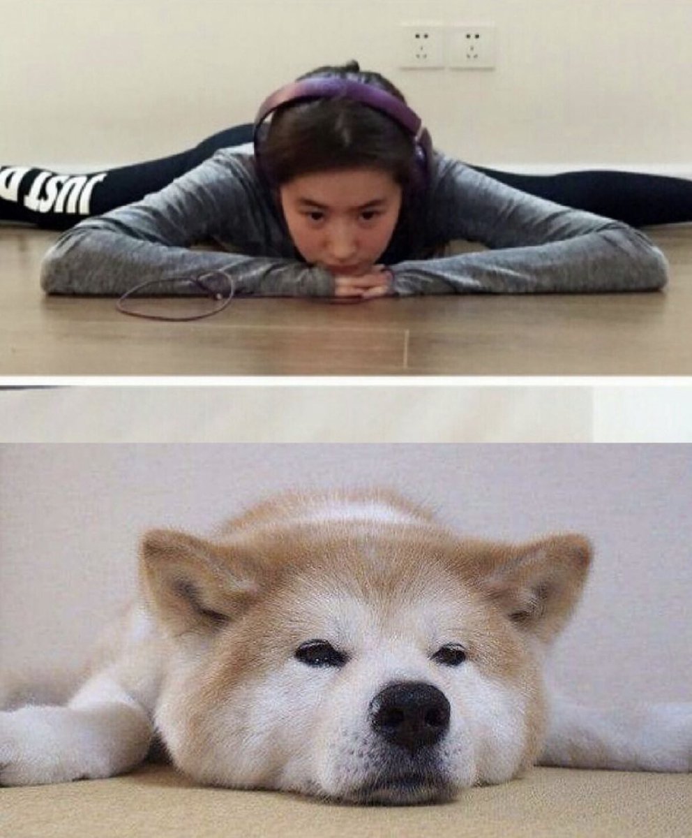 joyyyyside's tweet photo. Soooooo cute @yifei_cc 🌹
#liuyifei #yifeiliu #crystalliu #刘亦菲 #劉亦菲 #유역비 #LưuDiệcPhi #ЛюИфэй #หลิวอี้เฟย #リウイーフェイ #mulan #花木兰 #花木蘭 #Мулан #뮬란 #Mulán #ムーラン #ADreamOfSplendor #梦华录 #去有风的地方 #meetyourself #去有風的地方 #gotoawindyplace #夢華錄 https://t.co/1z0hmYM9n3