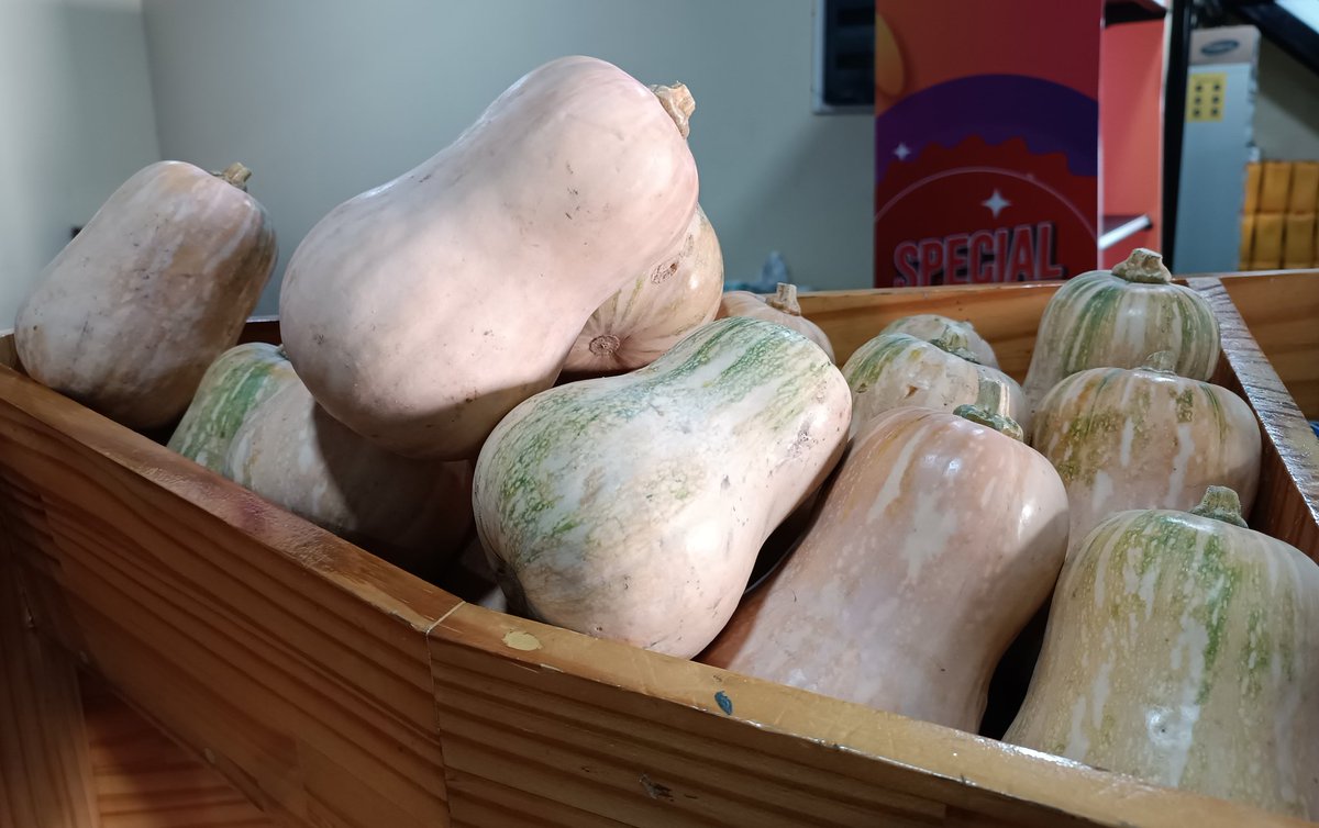 ހދ. ވައިކަރަދޫ އިން ތާޒާ ފެހި ބަޓާނާ ޝިޕްމެންޓެއް މިއަދުވަނީ ލިބިފަ. 😊 
ހޯލް ސޭލް: 37.35 ރުފިޔާ (5 ކިލޯ އިން ފެށިގެން)
އޯޑަރު ކޮށްލެއްވުމަށް 3012640 އަށް ގުޅުއްވާލައްވާ، ނުވަތަ 7291130 ވައިބާރ ކޮށްލައްވާ!
💯% #DhivehiUfehdhun 🌱