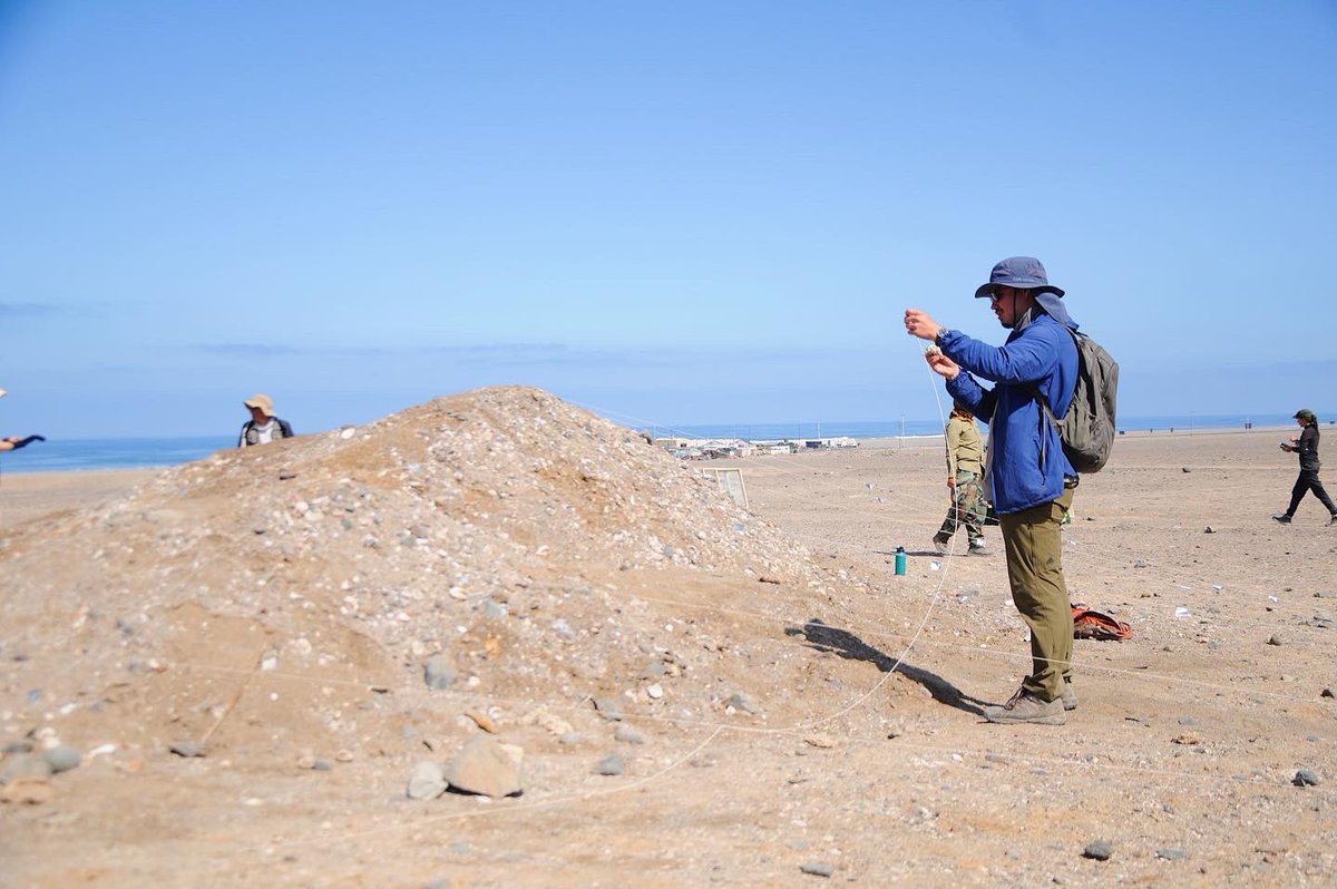 Magdalena Palisson-Kramer tweet media