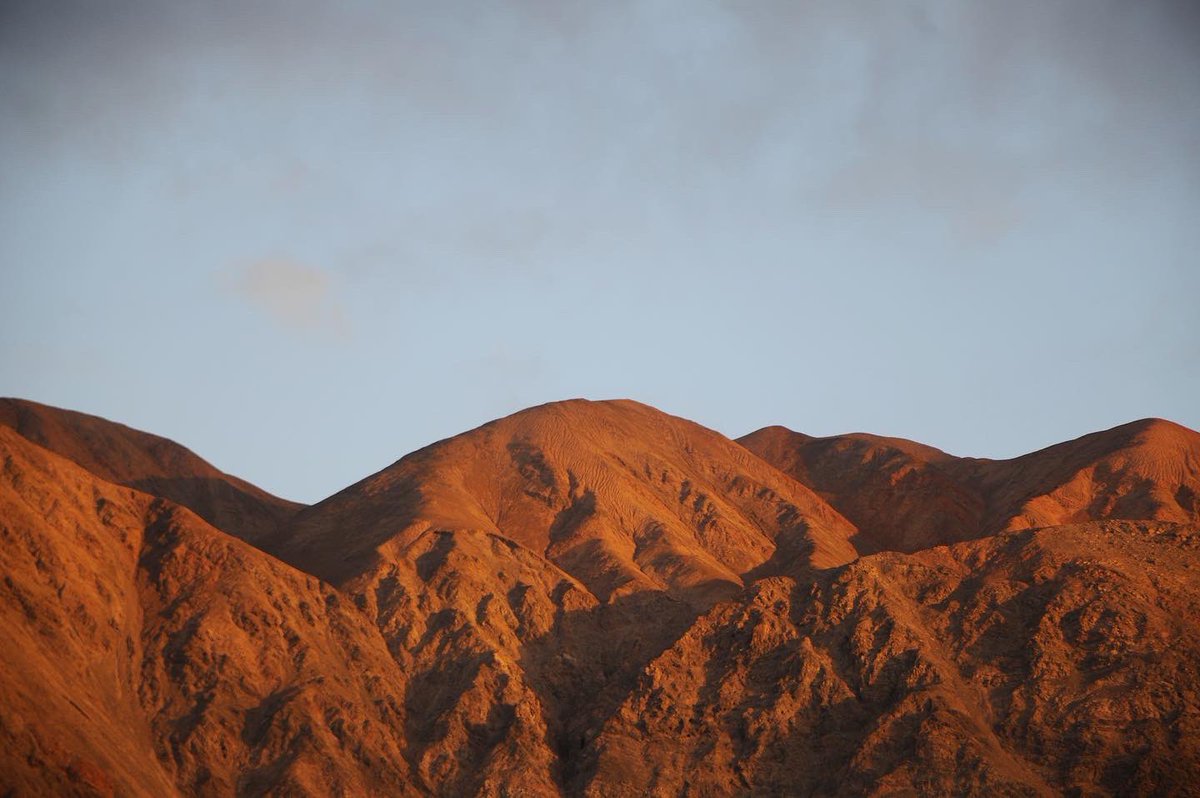 Magdalena Palisson-Kramer tweet media