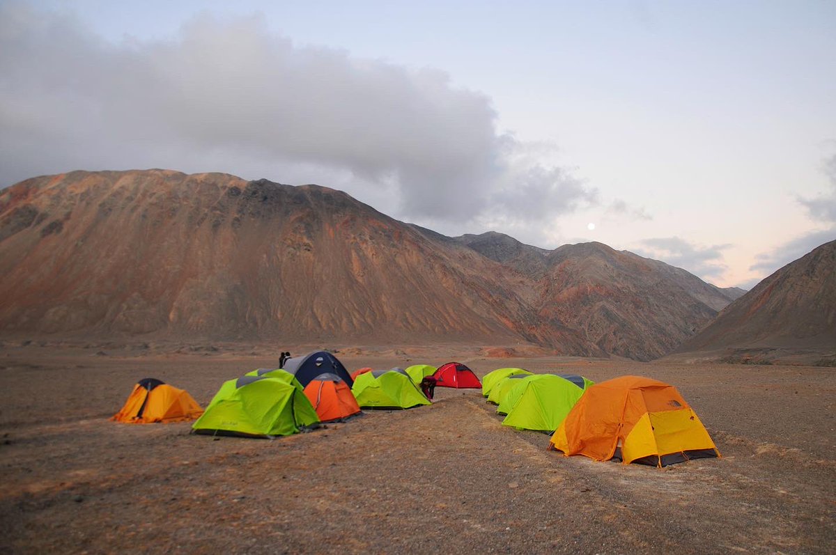 Magdalena Palisson-Kramer tweet media