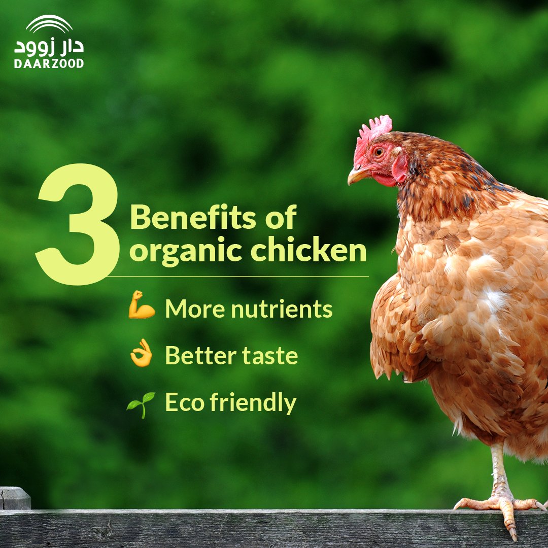 DaarzoodC's tweet photo. Our organic chicken has a lot to offer you and the planet too. Being healthier, tastier and environmentally friendly are the top three benefits but there’s much more. 
 
Visit https://t.co/IBxTOTnpgJ to discover the Daarzood difference for yourself. https://t.co/1X4djVx2Sz