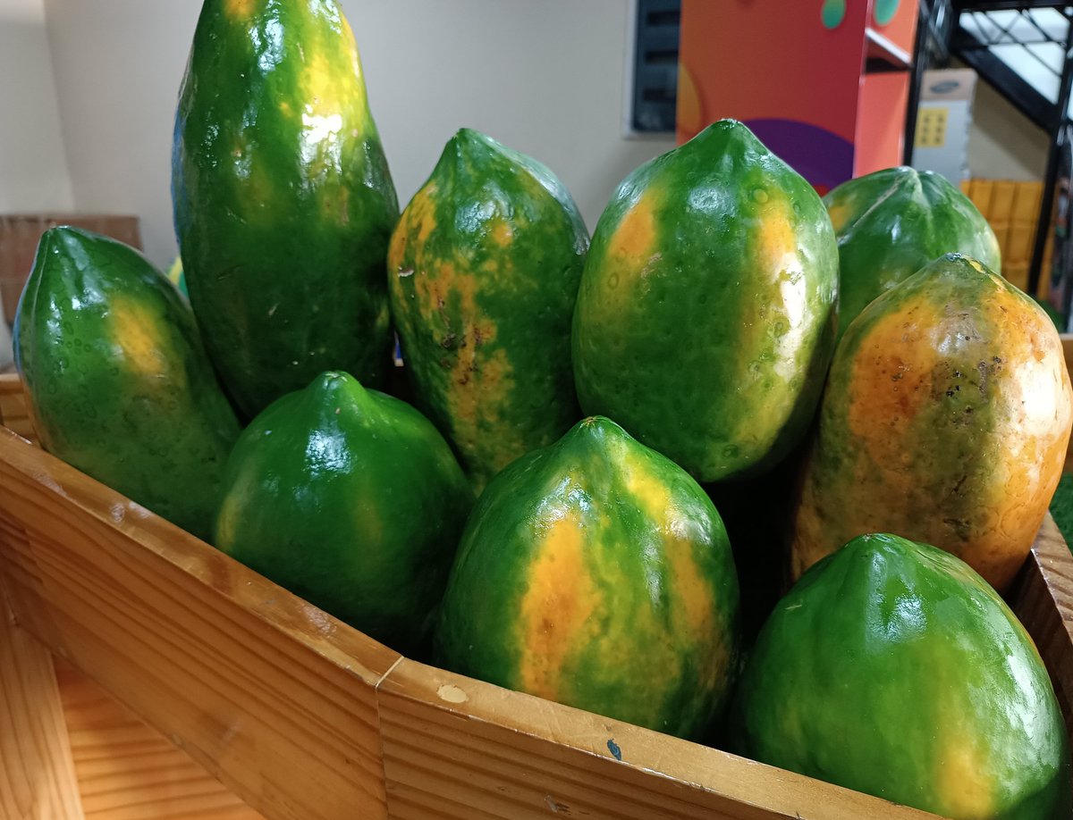 އއ.ތޮއްޑޫއިން ތާޒާ ފަޅޯ(ރެޑް ލޭޑި) ޝިޕްމެންޓެއް މިއަދުވަނީ ލިބިފަ. 😊
ހޯލް ސޭލް 26 ރުފިޔާ (5 ކިލޯ އިން ފެށިގެން)
އޯޑަރު ކޮށްލެއްވުމަށް 3012640 އަށް ގުޅުއްވާލައްވާ، ނުވަތަ 7291130 ވައިބާރ ކޮށްލައްވާ!
💯% #DhivehiUfehdhun 🌱