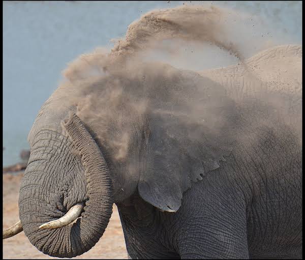 Iyan Karthikeyan tweet media