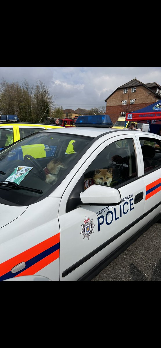 Almolka's tweet photo. Breaking news ๐ฅ ๐ฅ
The makers of the film #hottfuzz and the original car used in the film have been spotted filming over the weekend in Liverpool
With rumours @MerseyPolice s very own Rosie and Riot to replace @simonpegg x #pawpatrol #vintagecars https://t.co/E2y705N6ZC