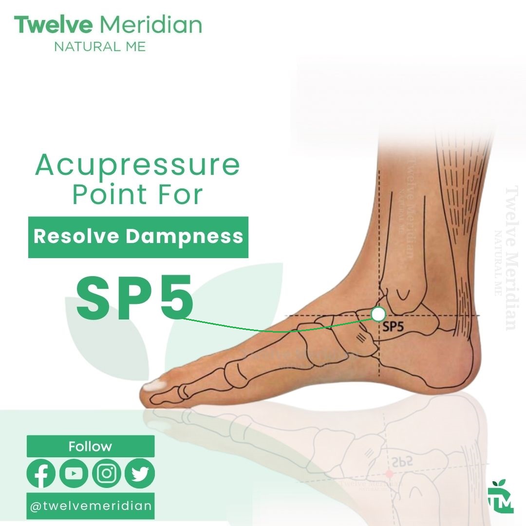 SP5 is an acupressure point located on the inner side of the foot. It is a useful point for relieving abdominal pain, anxiety, borborygmus, resolve dampness, foot pain, ankle pain, etc.

#Dampness #Pain #Anxiety #footpain #anklepain #lowerlegcramps #AbdominalPain #twelvemeridian