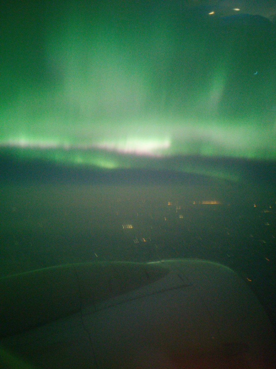 patchescantpurr.bsky.social tweet media