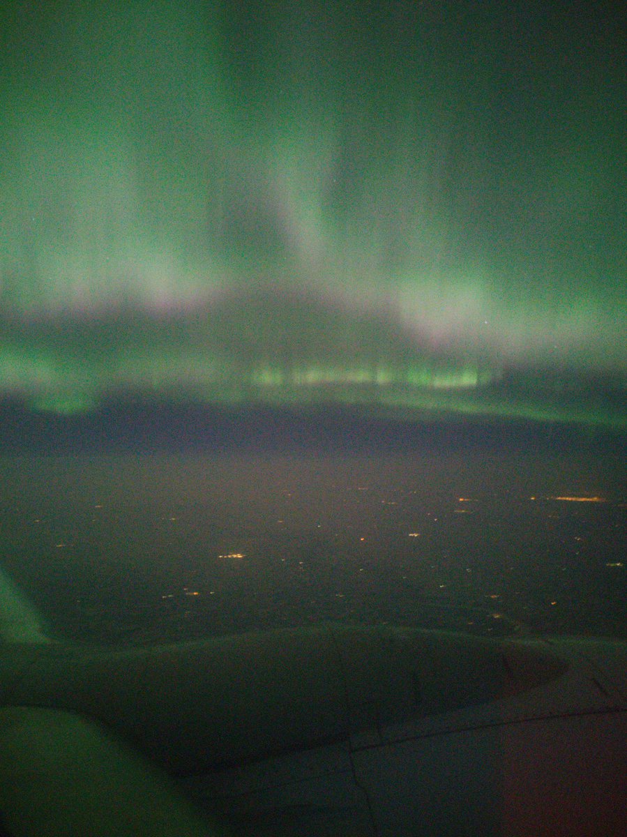 patchescantpurr.bsky.social tweet media