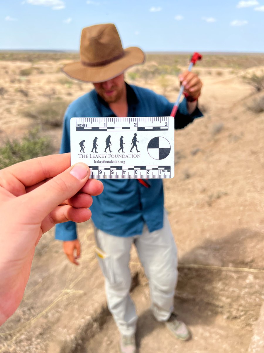 Magdalena Palisson-Kramer tweet media