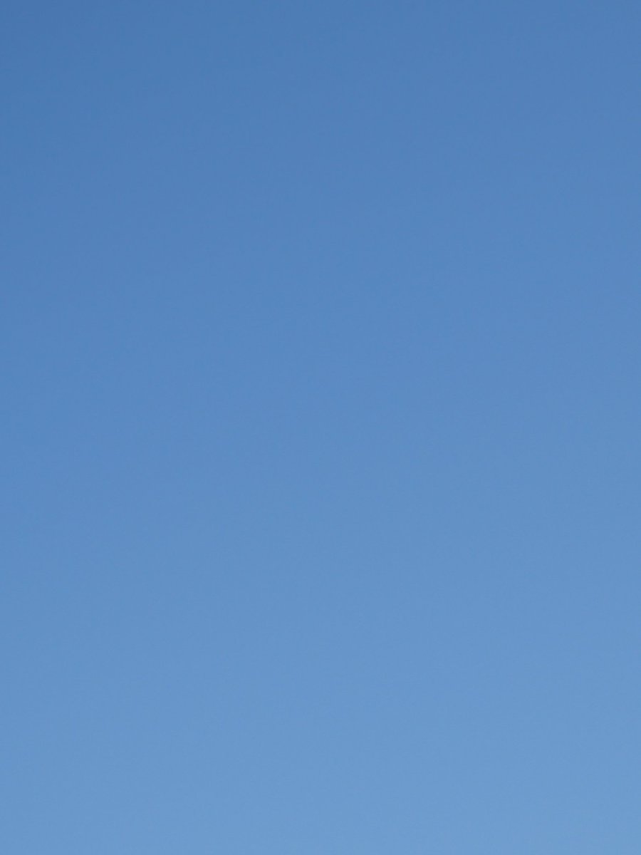 espr___'s tweet image. 晴れでも敢えて
外には出ないでいよう