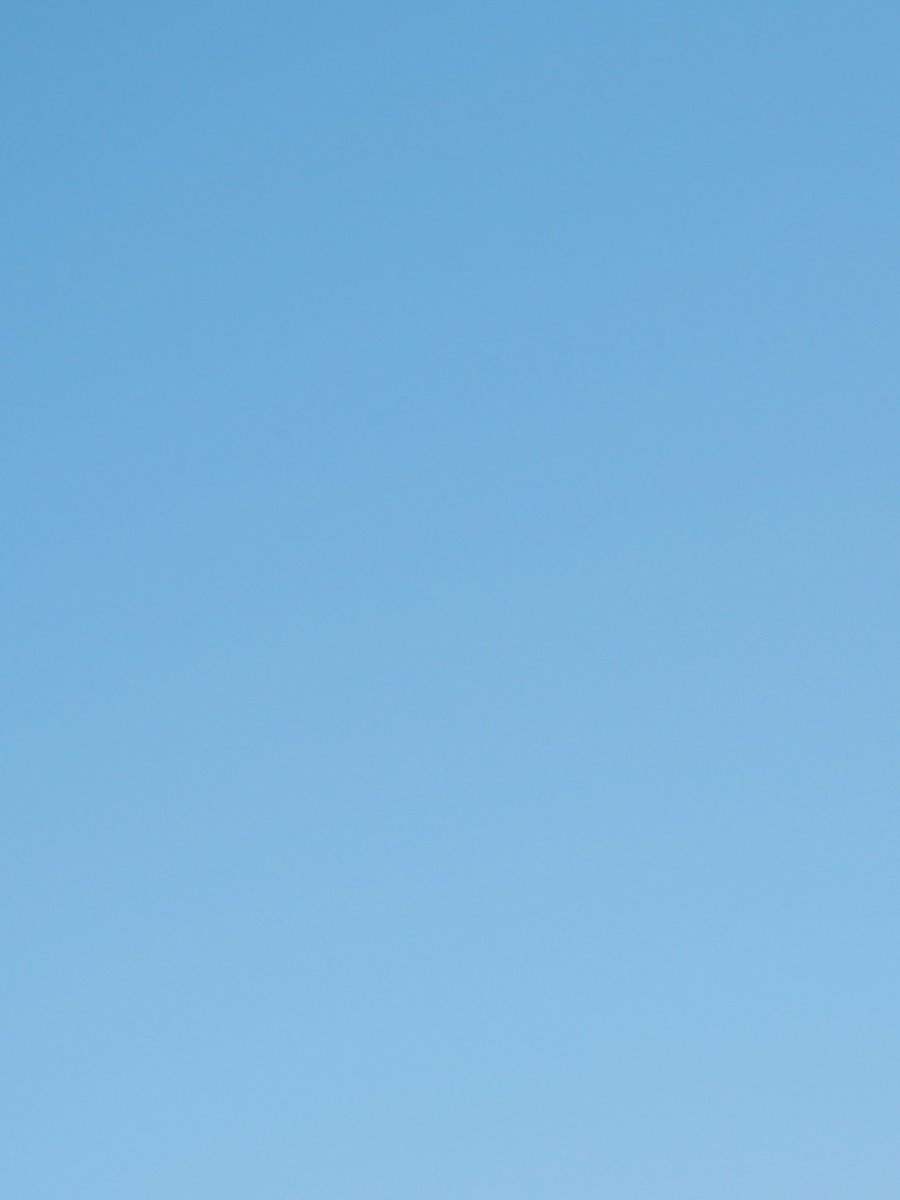 espr___'s tweet image. 晴れでも敢えて
外には出ないでいよう