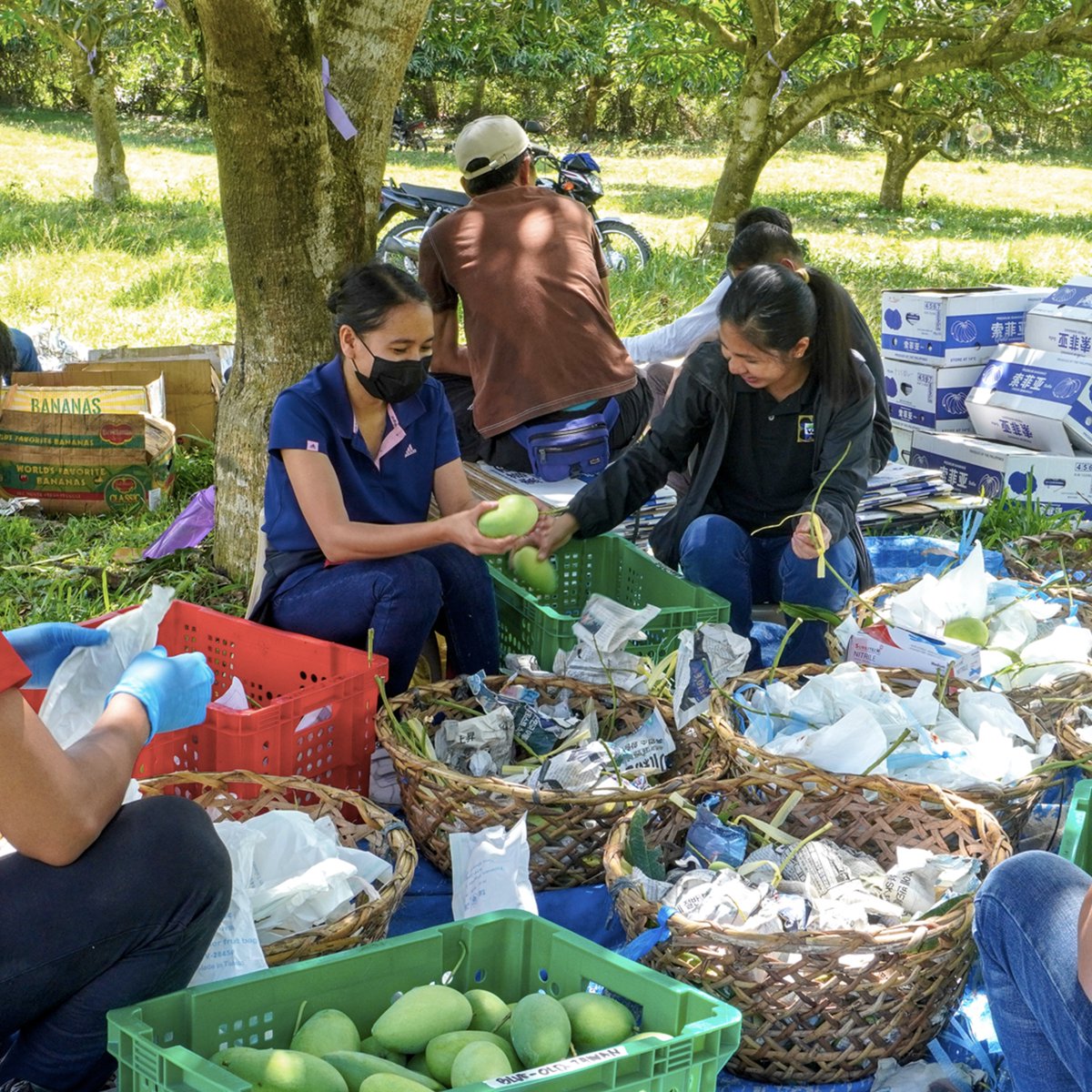 UNE International Capacity Building tweet media