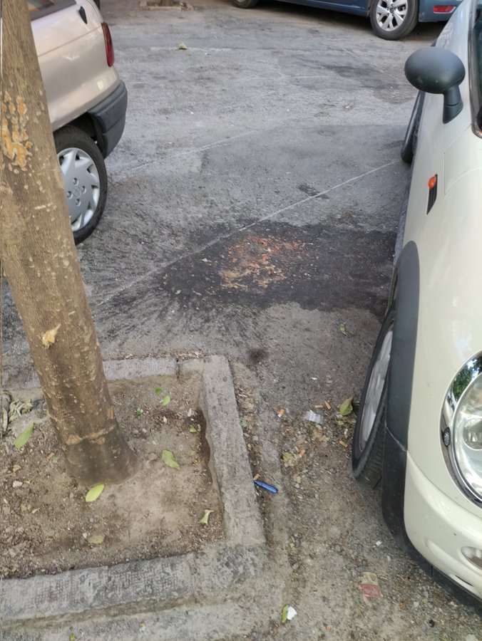 Meabanico's tweet photo. Les invito a pasarse por aquí a quitar los #pises, #cacas y #vomiteras que nos regalan cada fin de semanas las criaturas del bar al que ustedes dan licencia. 

San Isidoro convertido en el #basurero de Arabial y en un lugar absolutamente #insalubre. 

Gestión del día a día. https://t.co/BYdcagVHyx