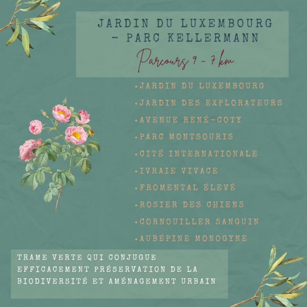 timonetpumbike's tweet photo. 9ème parcours de l'Atlas de la Nature à Paris : promenade verte du jardin du Luxembourg à la cité étudiante 🚴‍♀️🚴🌱
#parisfrance #voyageavelo #veloroute #velotourisme #atlasdelanature #visitparis #parisvibes #parismaville #quefaireaparis #parisvelo #veloaparis #francevelotourisme https://t.co/I8gQfqhCYd
