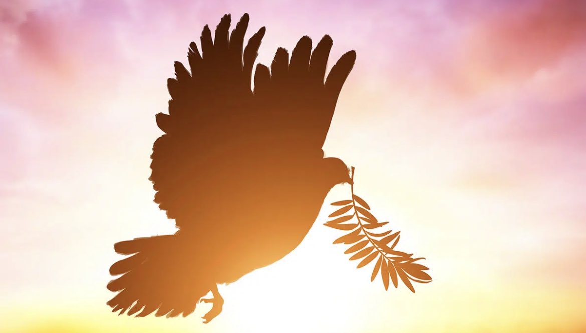 برداً وسلاماً على اهلنا في #السودان 
May peace prevail and we see an immediate end to #war and loss of innocent lives in #sudan  #KeepEyesOnSudan