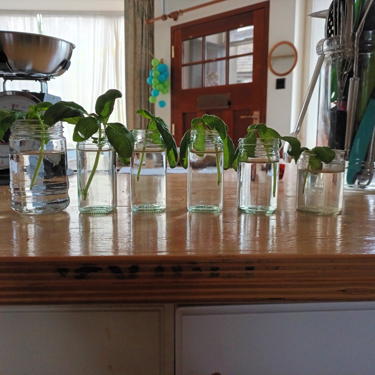 Wk2...nit sign of growth 🤔