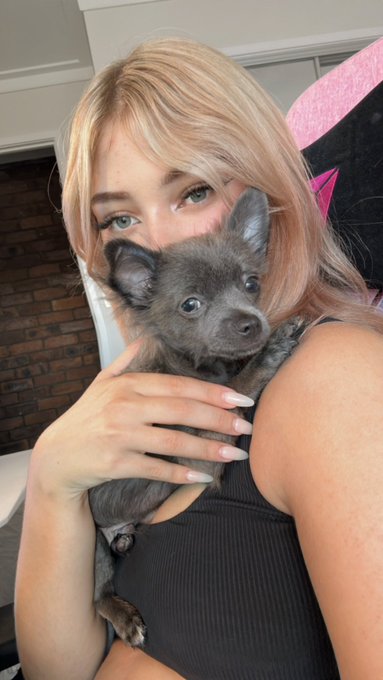 Come meet Pablo!!  Playing just dance on stream!!   https://t.co/MT6Ic3eOKl https://t.co/mqQmArednp