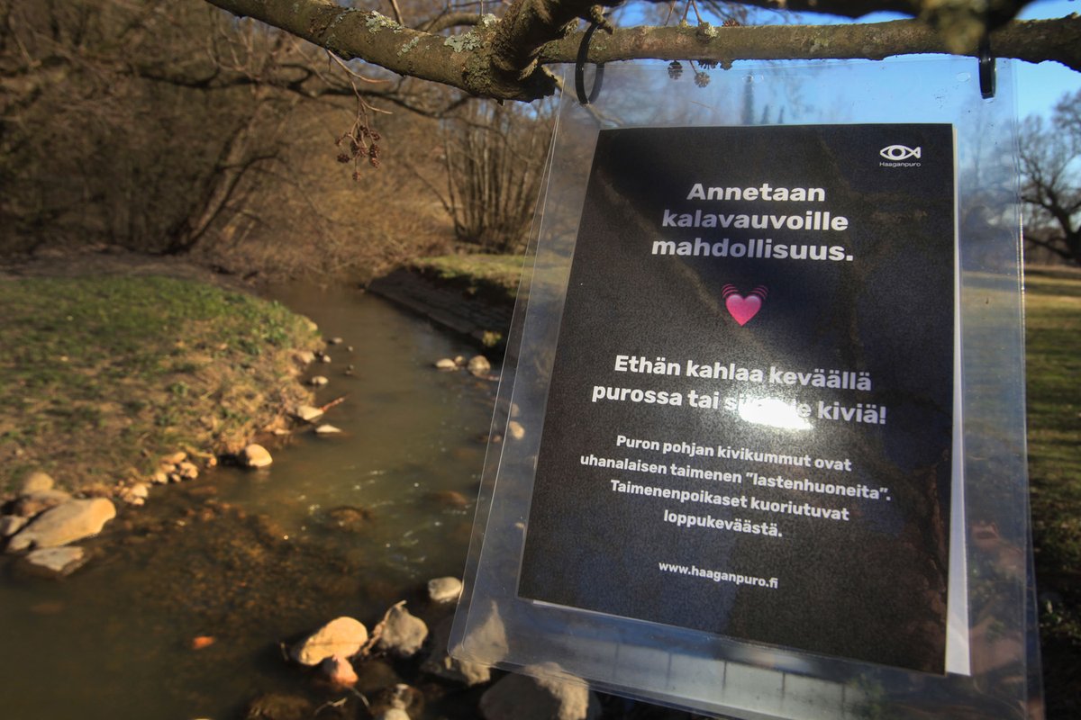 Vaelluskalaverkosto tweet media