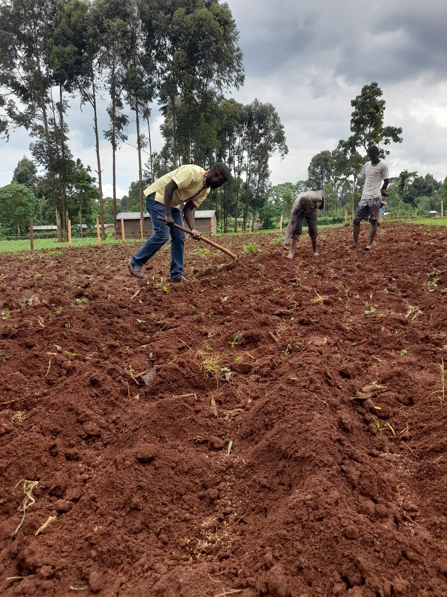 AHulula's tweet photo. A CALL TO SERVICE: DAY 4. TREE PLANTING

The true meaning of life is to plant trees, under whose shade you do not expect to sit." "Love is like a tree, it grows of its own accord, it puts down deep roots into our whole being." https://t.co/f6DcAKkoPY