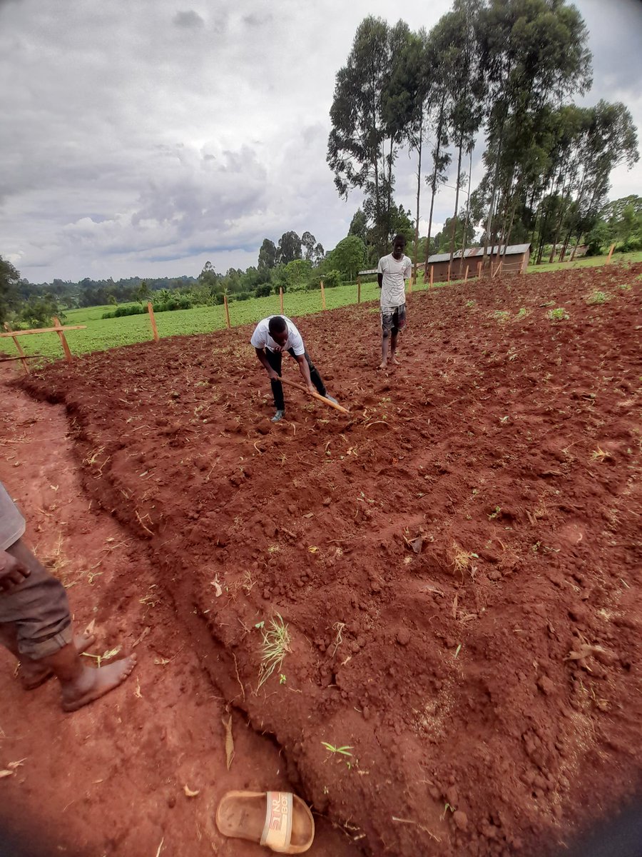 AHulula's tweet photo. A CALL TO SERVICE: DAY 4. TREE PLANTING

The true meaning of life is to plant trees, under whose shade you do not expect to sit." "Love is like a tree, it grows of its own accord, it puts down deep roots into our whole being." https://t.co/f6DcAKkoPY