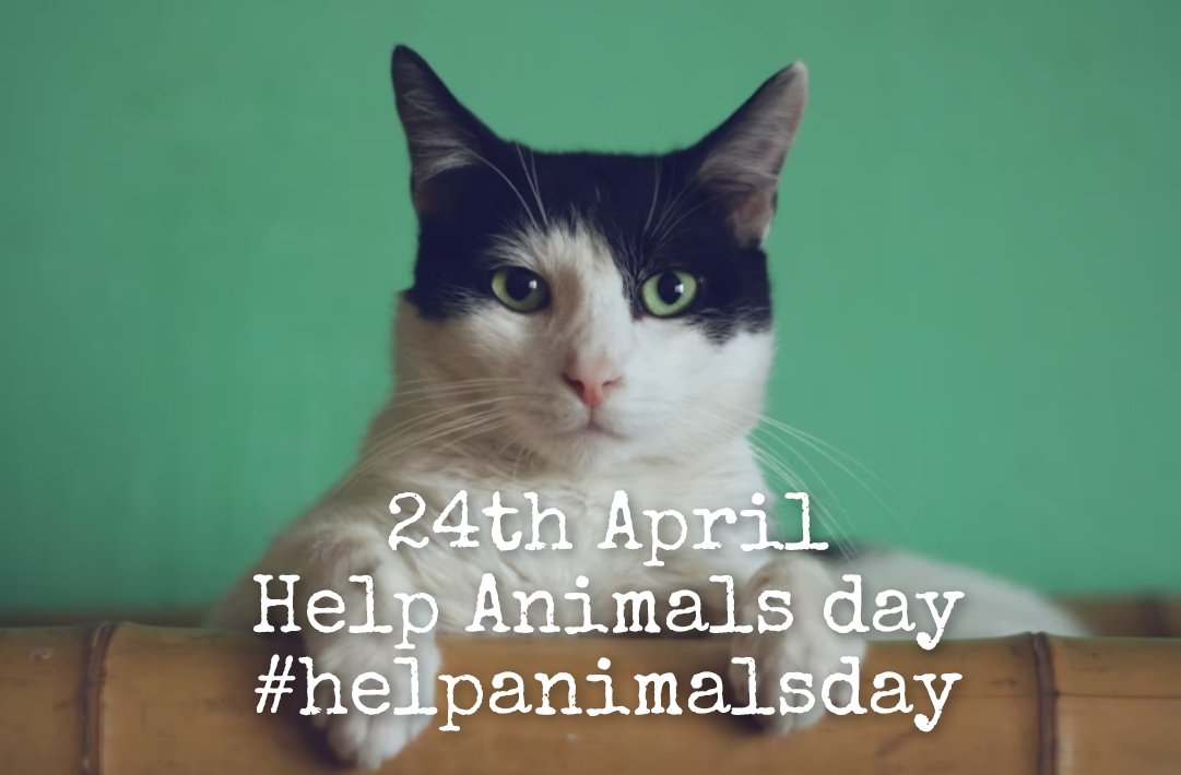 Today is #helpanimalsday
Please take a moment to find and support animal welfare organisations near you - here's some help
helpanimals.co.uk/local
#foster #donate #volunteer #rescue #helpanimals