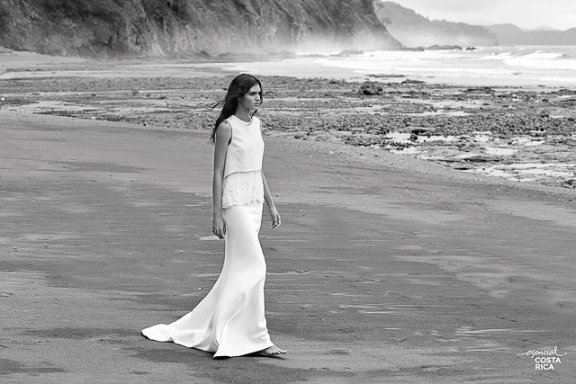 A todo Confetti tweet media