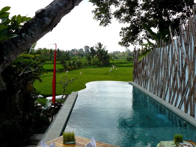 Coleccionandoim's tweet photo. Qué hacer en Ubud un día entero si lo que quieres es no hacer nada https://t.co/Y4VyaTjNEb https://t.co/iv1nOiChCj