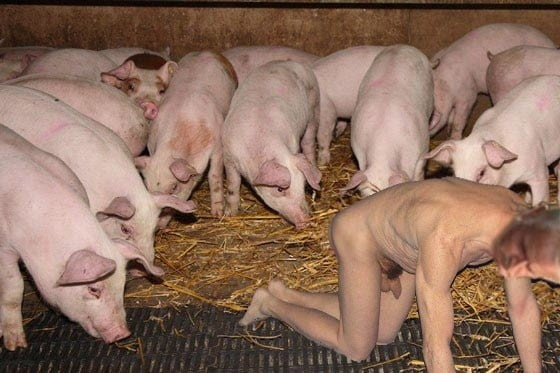 Meine Sau Ernst war schon früher im Schweinestall
faploads.com/slave_ernst