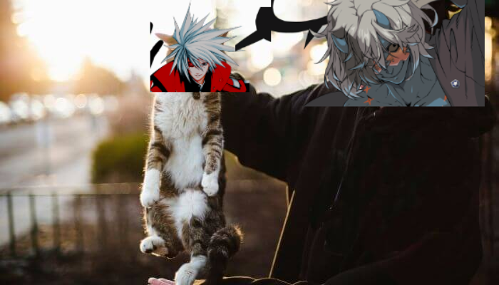 The_Originisms's tweet image. What a weird cat.