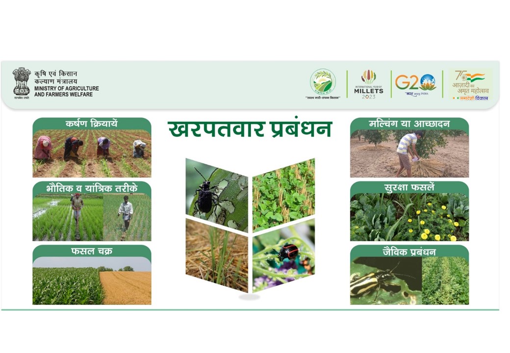 Natural Farming Mission (@nfmission) on Twitter photo #DidYouKnow
#प्राकृतिकखेती में खरपतवार प्रबंधन हेतु उपयोग किए जाने वाले कुछ उपाय ।
#SamaveshiVikaas #InclusiveDevelopment
<a href="/PMOIndia/">PMO India</a>
<a href="/MoRD_GoI/">Ministry of Rural Development, Government of India</a>
<a href="/AgriGoI/">Agriculture INDIA</a>
<a href="/PIBAgriculture/">PIB Agriculture</a> #DidYouKnow
#प्राकृतिकखेती में खरपतवार प्रबंधन हेतु उपयोग किए जाने वाले कुछ उपाय ।
#SamaveshiVikaas #InclusiveDevelopment
<a href="/PMOIndia/">PMO India</a>
<a href="/MoRD_GoI/">Ministry of Rural Development, Government of India</a>
<a href="/AgriGoI/">Agriculture INDIA</a>
<a href="/PIBAgriculture/">PIB Agriculture</a>