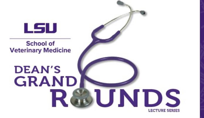lsuvetmeddean's tweet photo. When disaster strikes, we’re ready. So it was with discovery of Clostridium botulinum type C infection of alfalfa fed to horses, investigated @LSUVetMed. Dr. Rose Baker, #LSUVetMed & Dr. Jonathan Roberts, #LDAF tell all in Grand Rounds this week! #LSU #BetteringLives #WeProtect https://t.co/jaVPk3d5JC