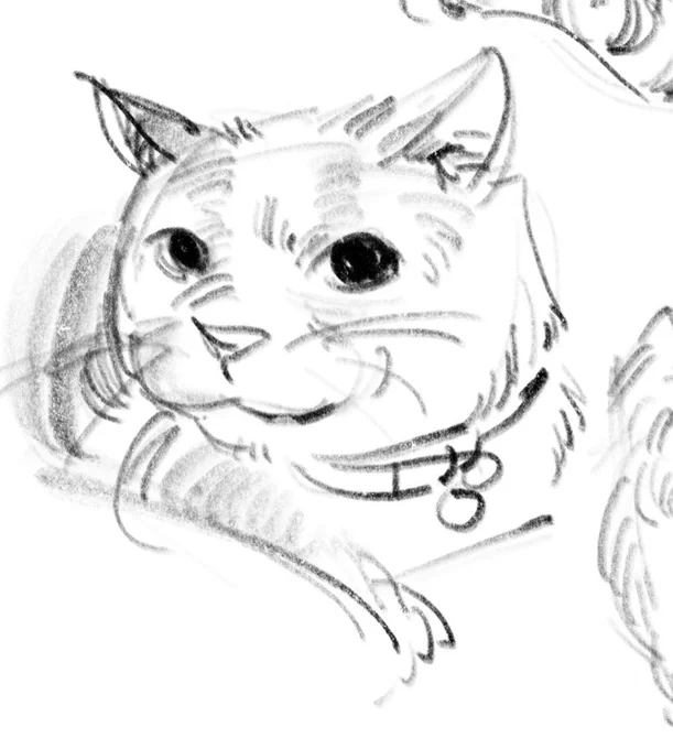 @voledae_ its the side eye 