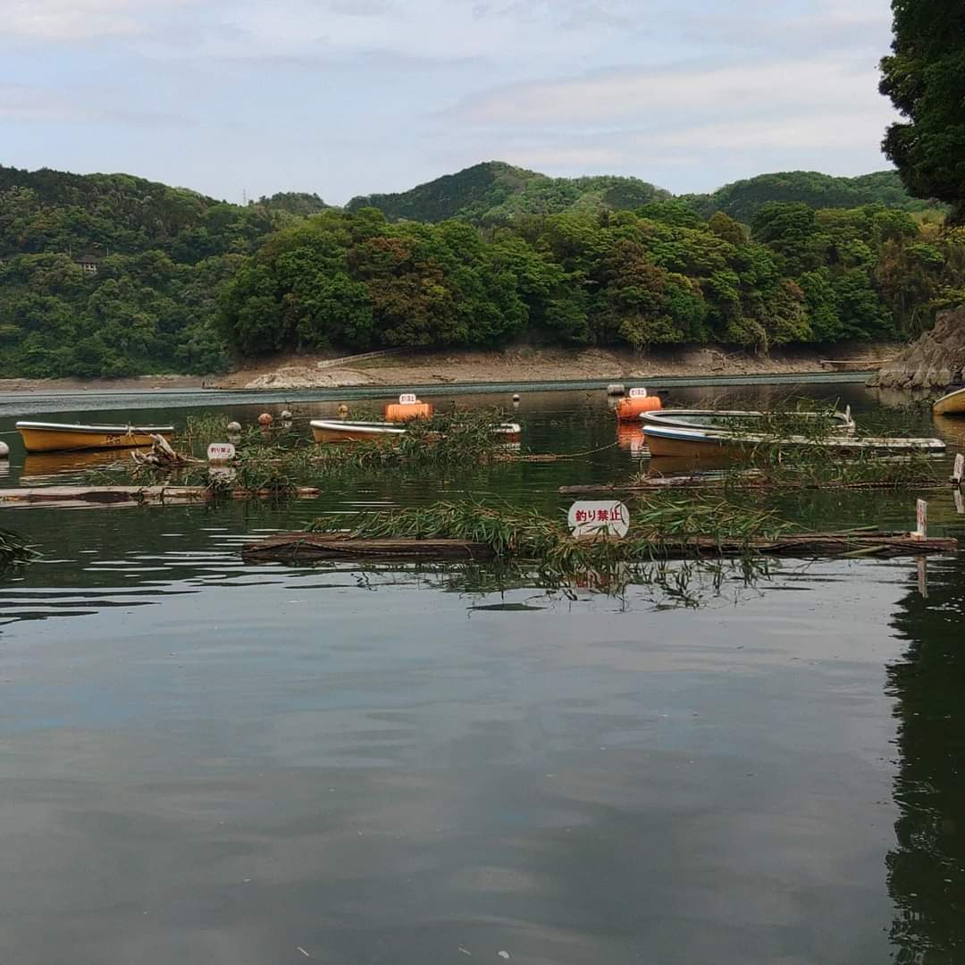TomK86's tweet photo. 津久井湖の矢口ボート桟橋周辺に釣り禁止エリアを設置しました。
津久井湖のお魚さんたちのために、これが設置されている間はボーター、オカッパリに限らず進入及びキャストはご遠慮ください。
ご理解ご協力よろしくお願いいたします。
#釣り禁止エリア
#津久井湖で釣りされる方
#リツイート希望 https://t.co/P5hIkYGsQ8