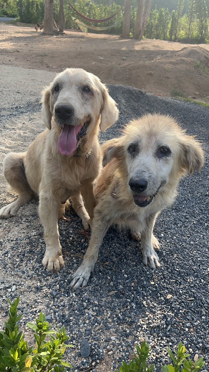 Niall Harbison tweet media