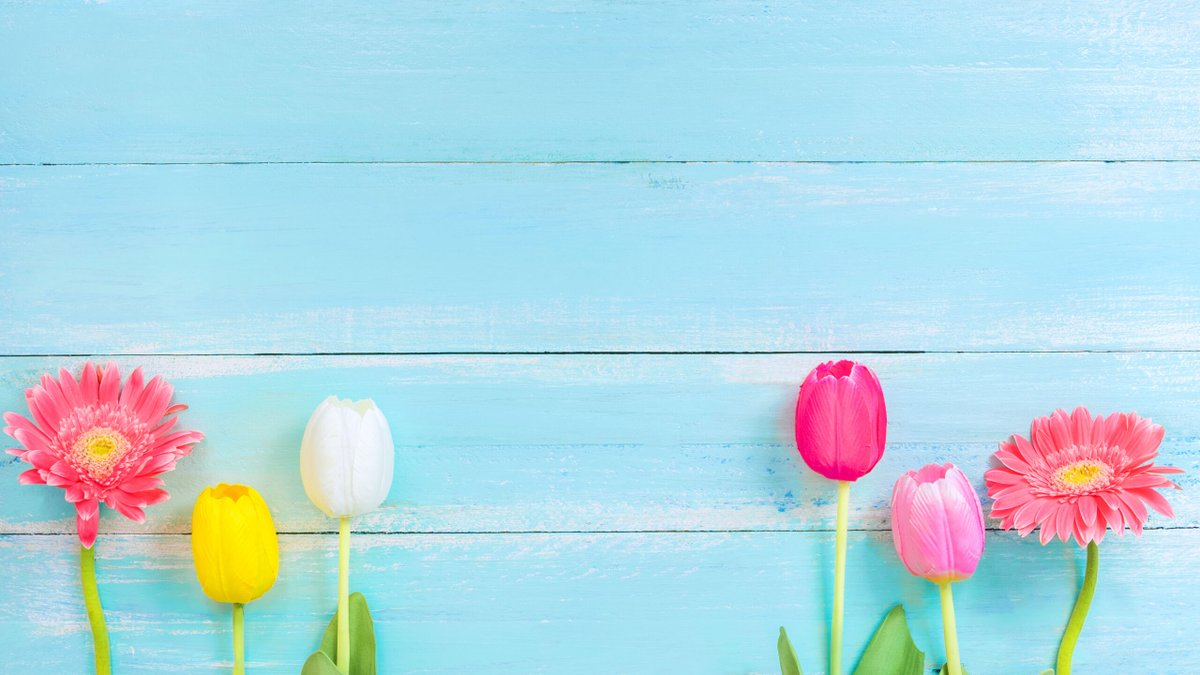 Wonkhe's tweet photo. NEW on Wonkhe: As the number of complaints referred to the independent ombuds continues to increase, outgoing independent adjudicator Felicity Mitchell reflects on the importance of staying human  @fmitchelloia @oiahe https://t.co/hFp07gmhsD https://t.co/znBbLqXJMG