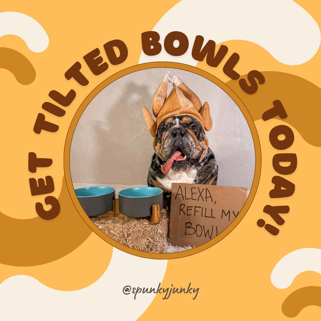 spunkyjunky1's tweet photo. SpunkyJunky's 15ยฐ Tilted Ceramic Dog Bowl is perfect for flat-faced dogs! Feeding time should be stress-free, and our designed bowl elevates food and water to a comfortable height.
Give it a try and make your furry friend happy! ๐ถ๐
#flatfacedogs #dogbowl #pethealth https://t.co/Mpa84szuik