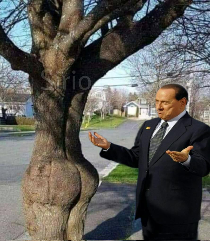 tanzmax's tweet photo. @Lucrezia_Sx @avantibionda @ritadallachiesa @berlusconi Un galantuomo, dai: un modello per la gioventù che risaputamente è assai propensa ai #pullmanditroie (e Papà #Cervi certo non aspettava altro!) https://t.co/rKwTQf9KF9