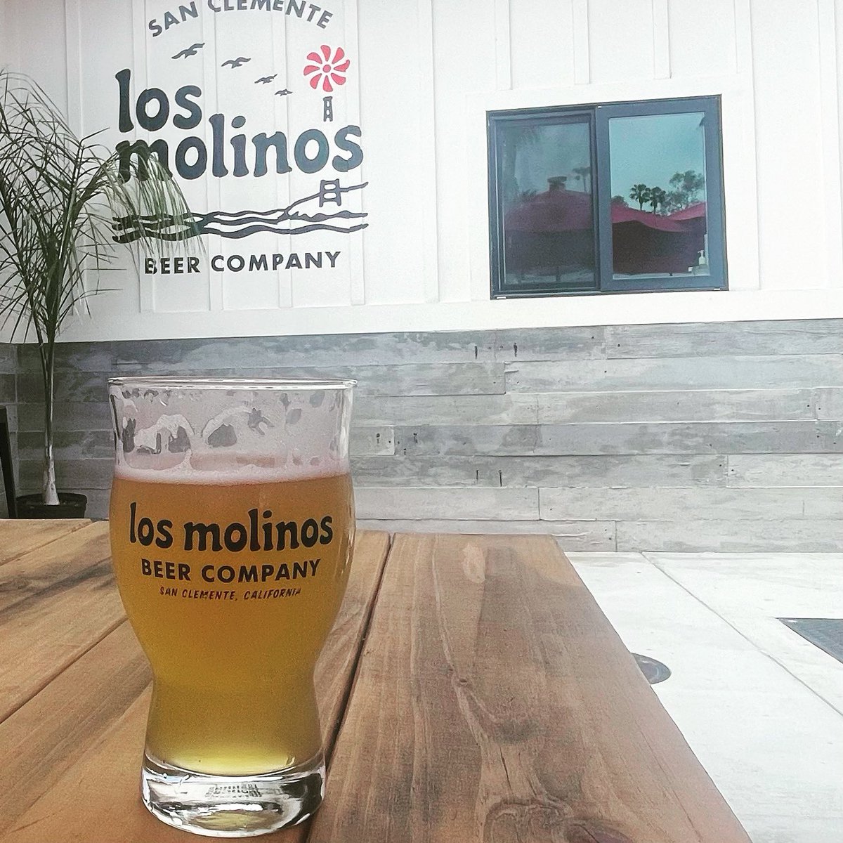 Sunday funday with <a href="/thisbeer/">ThisBeer</a> @losmolinosbeer. #portmolinosipa #craftbeer #beergeek