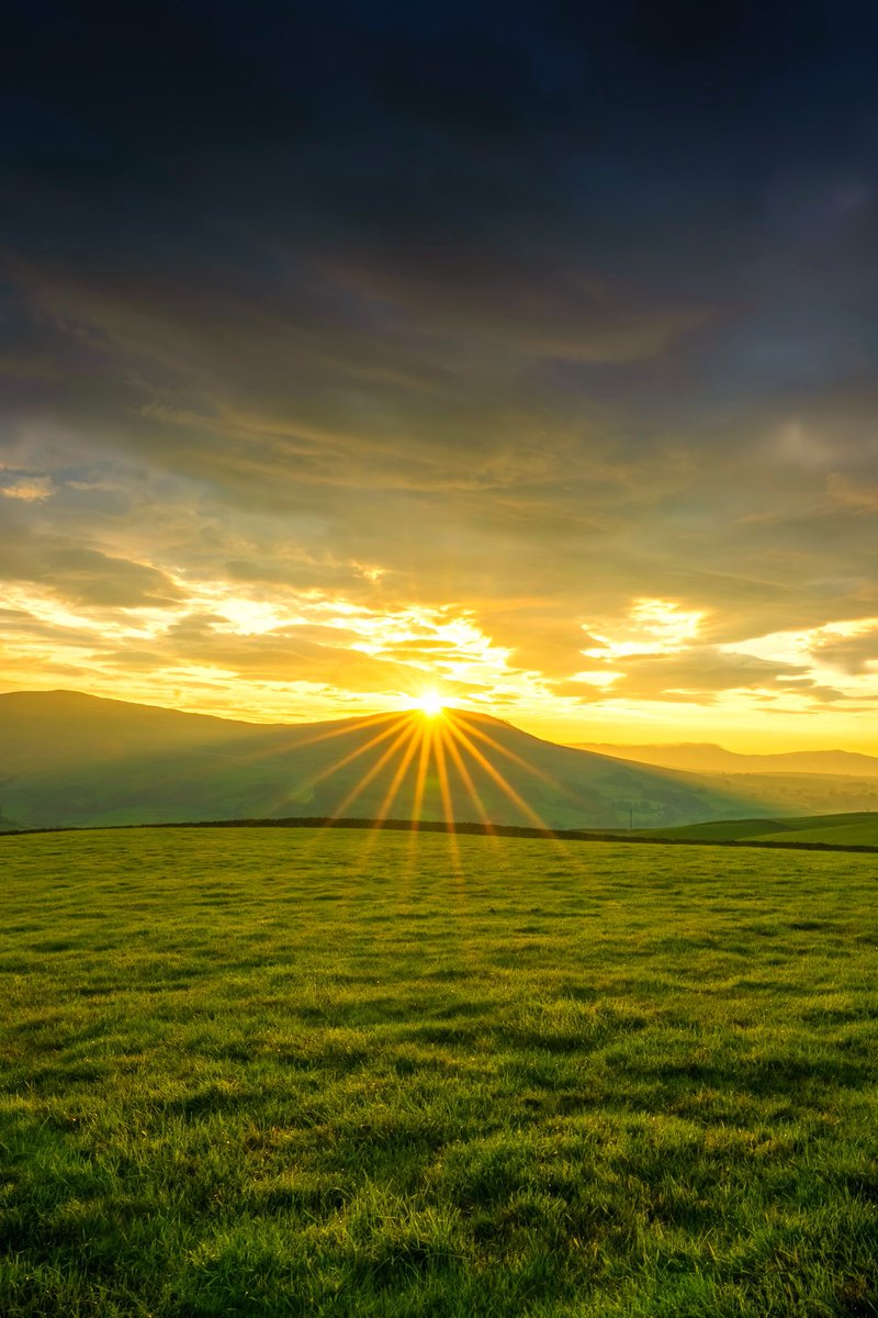 Have a glowing start to an excellent week, my friends  ☀️🌾☕️🌹
🧡