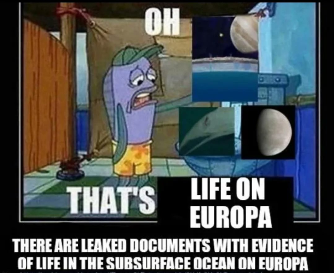 Braden 🏺 tweet media